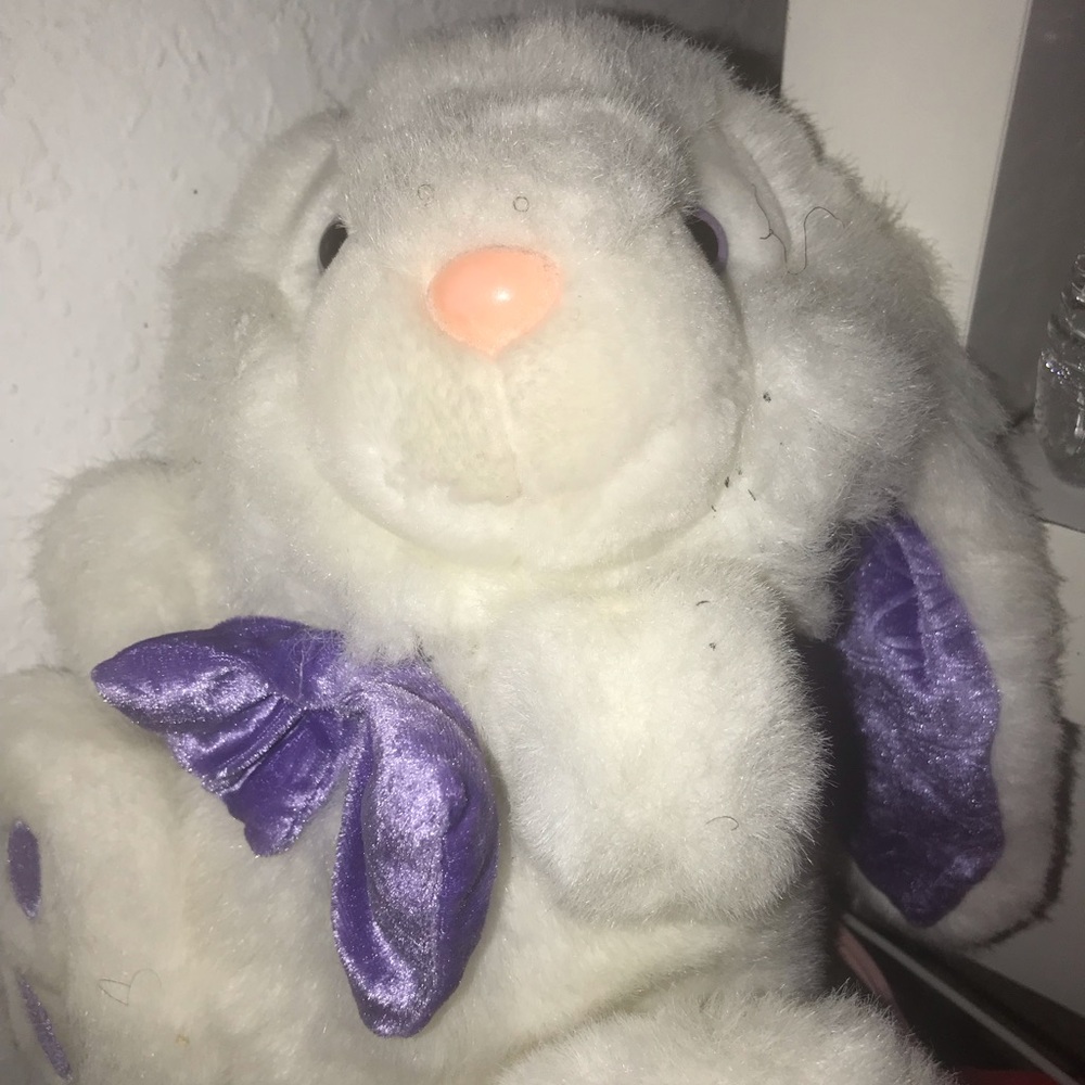 Teddy Bear